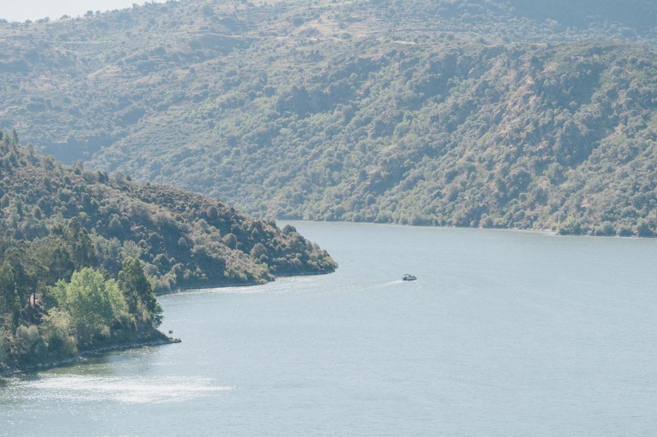 Casa Das Arribas - Rio Douro Aos Seus Pes Bemposta  Ngoại thất bức ảnh