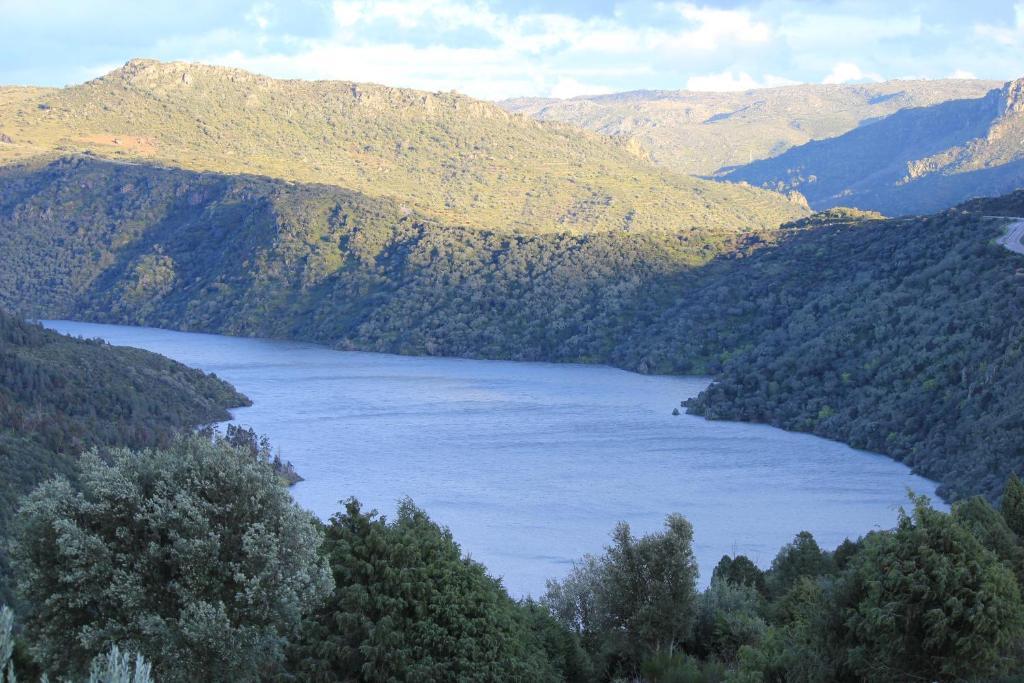 Casa Das Arribas - Rio Douro Aos Seus Pes Bemposta  Ngoại thất bức ảnh